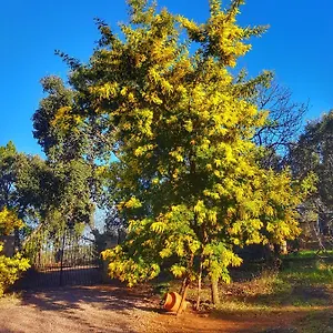 La Viriñuela Сasa de vacaciones
